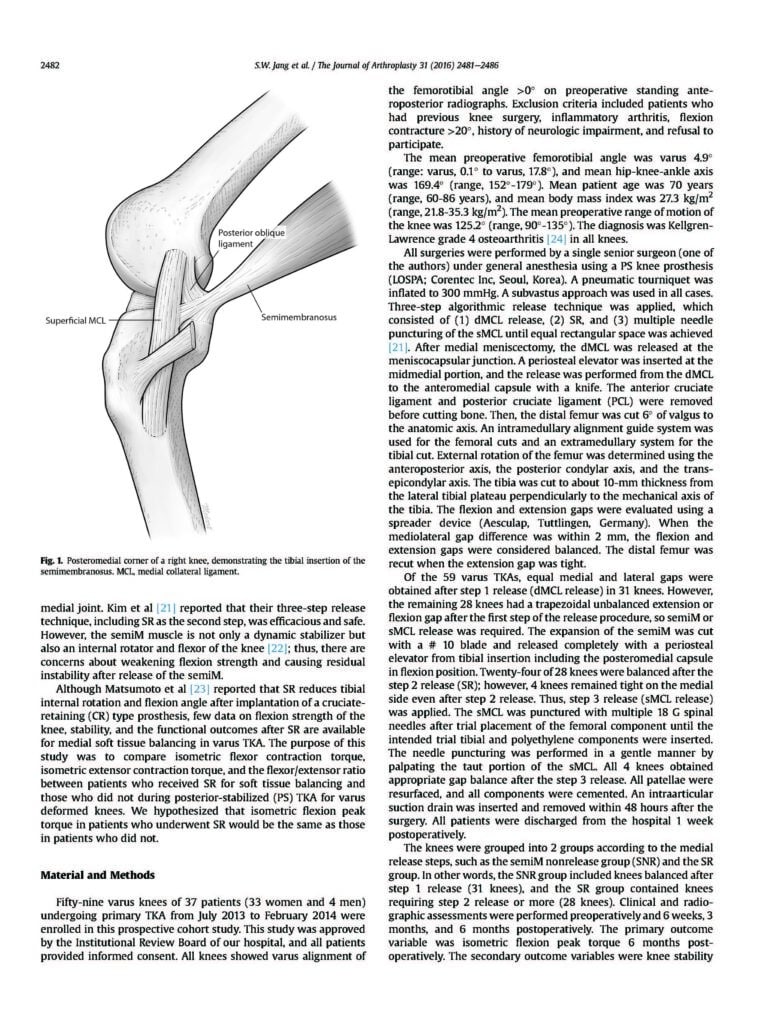 2016_Semimembranosus Release for Medial Soft Tissue Balancing Does Not Weaken Knee Flexion Strength in Patients Undergoing Varus Total Knee Arthroplasty - page 2