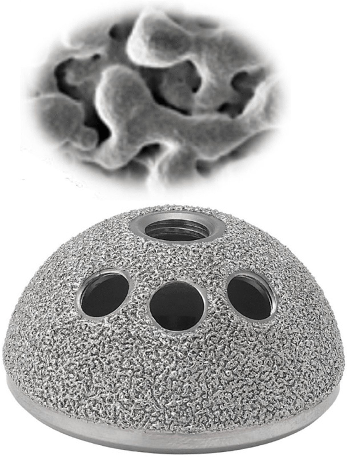 Cortinium: DMT